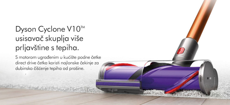 Usisavač V10 Absolute